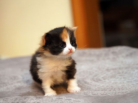 Ursina am 27. Januar 2026